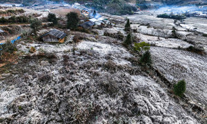 Lào Cai: Băng giá trắng xóa 'bao phủ' bản làng ở Y Tý