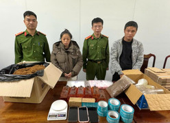 Triệt phá đường dây mua bán trái phép chất ma túy liên tỉnh trên Telegram