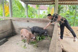 Chương trình giảm nghèo mở lối vươn lên cho người dân vùng cao Quảng Ngãi