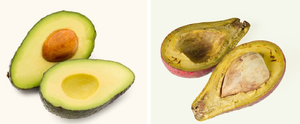 Có nên ăn phần thịt quả bơ đã chuyển sang màu nâu?