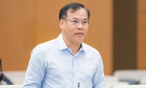 Bổ sung thẩm quyền kiểm tra môi trường, an toàn thực phẩm cho trưởng công an xã