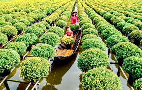 Festival Hoa-Kiểng Sa Đéc 2025: Tôn vinh làng hoa trăm tuổi, tạo cú hích du lịch