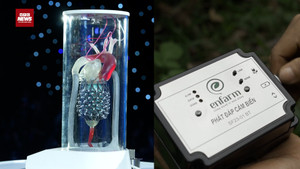 VinFuture 2025: Những phát minh của người Việt được lan toả