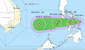 Dự báo thời tiết 10 ngày: Biển Đông đón áp thấp nhiệt đới, miền Bắc rét đậm