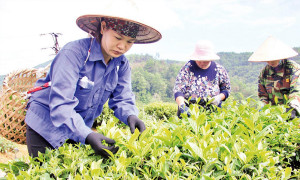 Chuẩn nghèo đa chiều giai đoạn 2026-2030 sẽ tăng tiêu chí về thu nhập