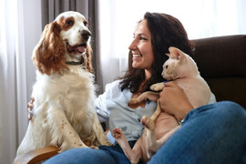 Kinh nghiệm nuôi mèo ở chung cư để mèo khỏe, hàng xóm vui