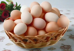 Trứng gà màu trắng và màu nâu loại nào tốt hơn?