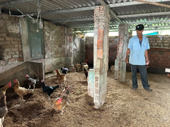 Làm nông bằng công nghệ cao, nhiều gia đình Đà Nẵng thoát nghèo bền vững