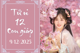 Tử vi 12 con giáp hôm nay ngày 9/12/2025: Thìn phòng thị phi, Tỵ khấm khá