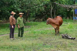 Lâm Đồng: Nhiều hộ 'cơm no còn khó' nay đã dành dụm được tiền sửa nhà