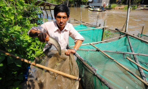 Không bị bỏ lại phía sau, người nghèo An Giang tự tin làm kinh tế