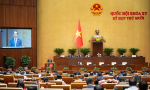 Bộ Y tế quản lý việc đào tạo bác sĩ nội trú, bác sĩ chuyên khoa 