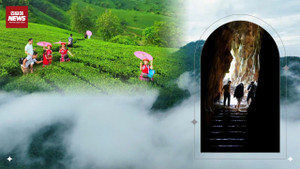 Khám phá 'Trung du xanh' Phú Thọ