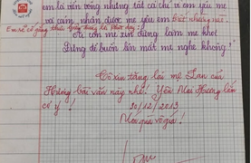 Bài văn tả mẹ đạt 9 điểm gây 'sốt' mạng, tinh tế nhất là lời phê của giáo viên