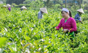 Phân quyền cho cấp xã trong thực hiện các chính sách giảm nghèo