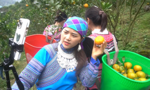 Đẩy mạnh chuyển đổi số và ứng dụng công nghệ cao trong công tác giảm nghèo