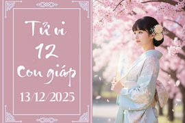 Tử vi 12 con giáp hôm nay ngày 13/12/2025: Tý gặp may, Tỵ cẩn trọng 