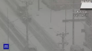 Miền Bắc Nhật Bản chìm trong bão tuyết