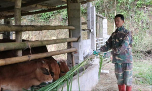 Giảm nghèo bền vững từ những mô hình sinh kế xanh ở Lạng Sơn