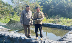 Tuyên Quang : Kỳ vọng giảm nghèo bền vững từ nuôi cá nước lạnh ở Nấm Dẩn