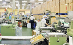 Vinataba 2025: Giữ nhịp thị trường, củng cố nền tảng