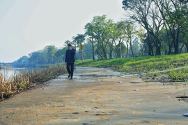 Đường lát gỗ lim siêu sang ở Huế vẫn ngập trong bùn đất sau đợt mưa lũ lịch sử