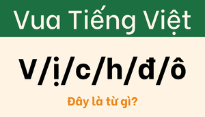 Ai là 'trùm cuối' của thử thách 'vua tiếng Việt'?