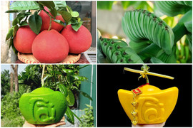 Những loại quả độc lạ chưa Tết đã hút khách 
