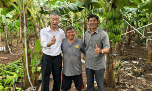 Hiệu quả từ mô hình liên kết góp vốn, đầu tư sản xuất và tiêu thụ nông sản sạch