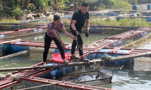 Khi kinh tế tập thể trở thành bệ đỡ giảm nghèo vùng dân tộc thiểu số 