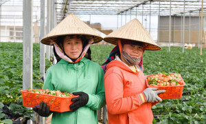 Kinh tế hợp tác làm thay da đổi thịt vùng dân tộc thiểu số tỉnh Lâm Đồng