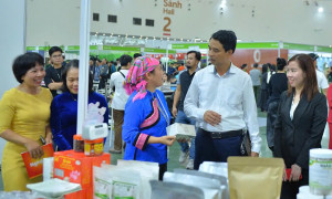 Nữ giám đốc hợp tác xã và hành trình 'đánh thức' cây hồi xứ Lạng