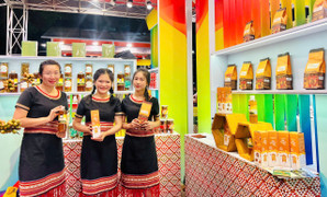 OCOP Gia Lai: Từ làng quê đến thị trường xuất khẩu