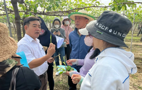 Tây Ninh đổi mới với nông nghiệp thông minh