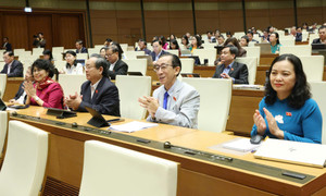 Chi tiết số đơn vị bầu cử, số đại biểu Quốc hội khóa XVI được bầu ở TP.HCM