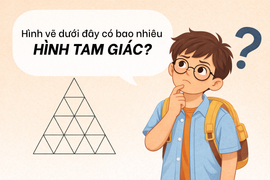 Bài toán đếm hình tiểu học nhưng nhiều người lớn trả lời sai