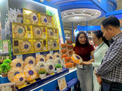 Từ ruộng vườn đến siêu thị ngoại: Hợp tác xã đổi thay nông thôn Đắk Lắk