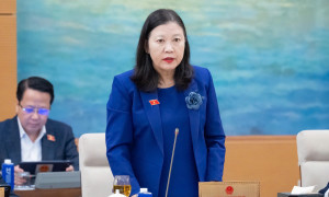 Nhiều người bị lừa đảo, bỗng dưng thành giám đốc công ty 'ma'