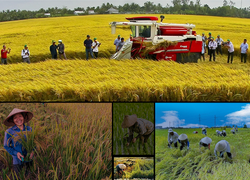 Tây Ninh: Để người dân không còn nghèo