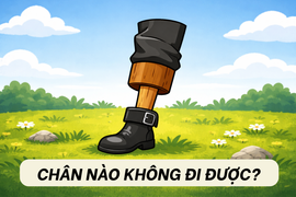 Chân nào không thể đi được?