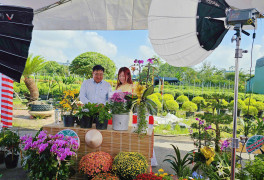 Nông dân miền Tây livestream bán hoa Tết sớm 