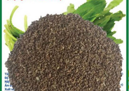 Ai bị mỡ máu cứ dùng hạt này, chỉ 5 nghìn một nắm, từ lá đến rễ đều là thuốc quý