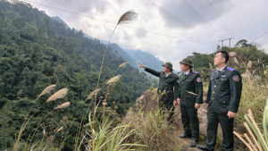 Chủ động nâng cao hiệu quả bảo vệ rừng đặc dụng, phòng hộ ở Thái Nguyên