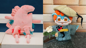 Những tiệm bán gấu bông 'xấu mà chất' khiến gen Z mê mẩn