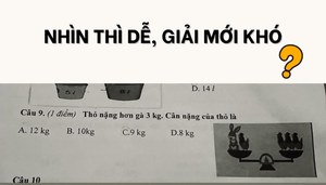 99% người trưởng thành 'đau đầu' vì câu toán tiểu học