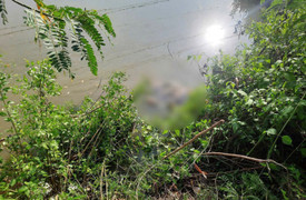 Vụ thi thể bé gái 13 tuổi dưới đầm tôm ở Cà Mau: Bắt khẩn cấp nghi phạm