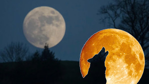 'Siêu trăng Sói' rực sáng trên bầu trời Việt Nam