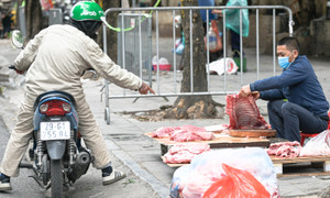 Chợ cóc ngang nhiên chiếm vỉa hè, bủa vây nhiều tuyến phố Hà Nội