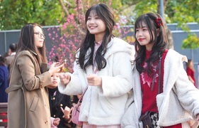 Bạn sẽ trải qua 2 tiết khí trong đợt nghỉ Tết Nguyên đán Bính Ngọ 2026