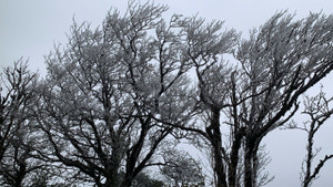 Băng giá phủ trắng đỉnh núi ở Cao Bằng